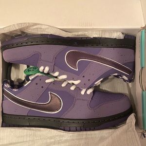 Nike dunks size 9.5